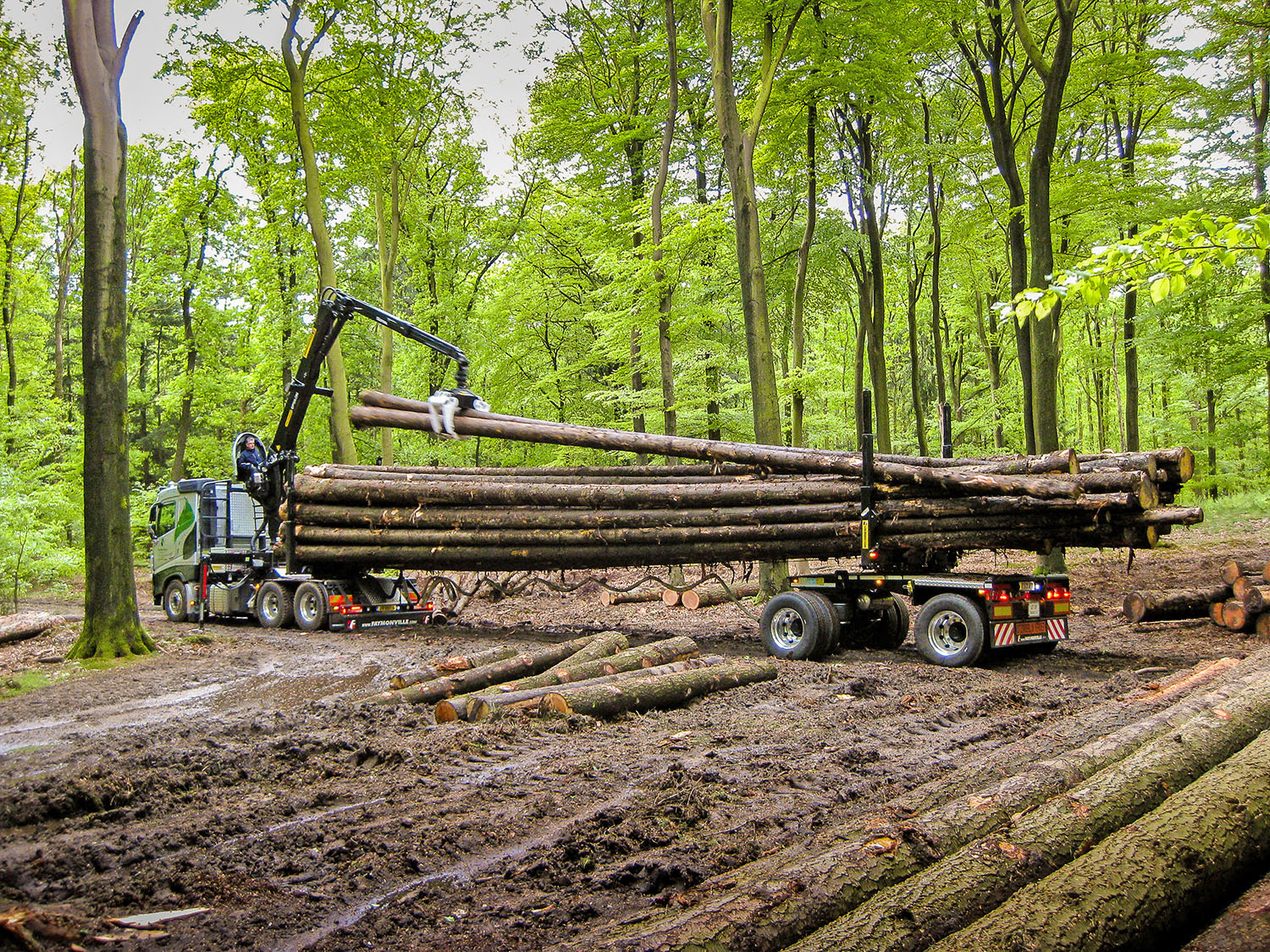 Faymonville FlexMAX Langholzzug mit Holzladekranbei der Verladung von Langholz im Wald