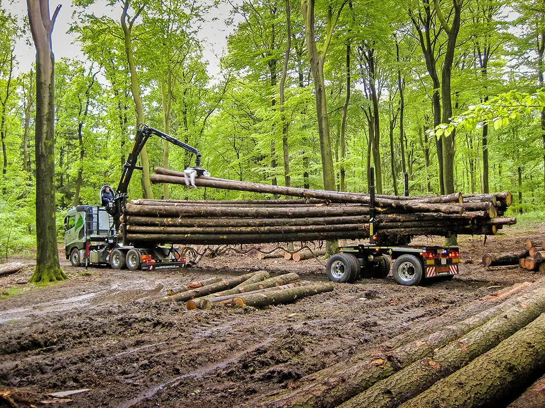 Camion grumes FlexMAX de Faymonville avec grue de chargement de bois lors du chargement de bois long en forêt